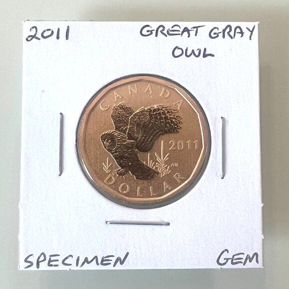 2010, 2010, 2011 and 2011 Canada Special Edition Specimen $1 Dollar Loonies! - Picture 9 of 10